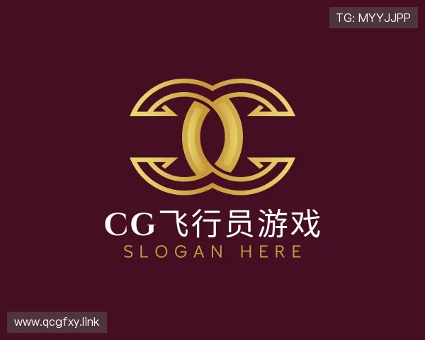 纵览CG飞行员游戏